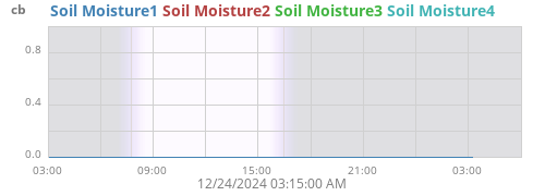 daymoistsoil